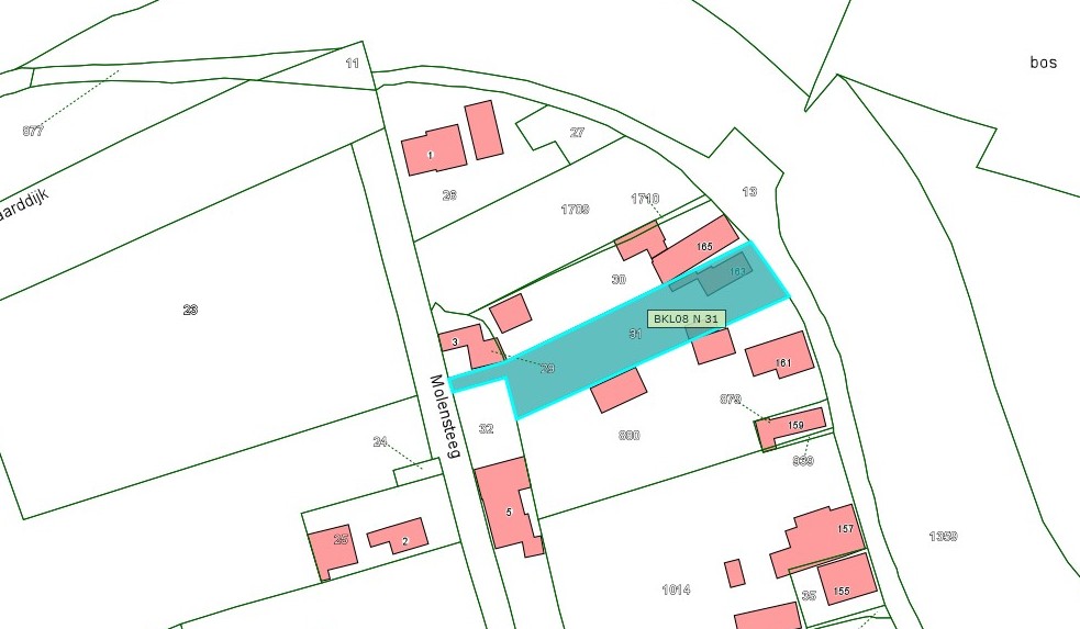 Kadastrale kaart van 2015 met in lichtblauw ingetekend het perceel van de Waaldijk 163 te Brakel