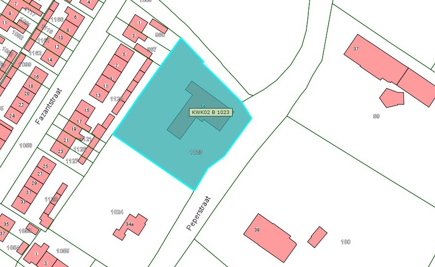 Kadastrale kaart van 2015 met in lichtblauw ingekleurd het perceel van Peperstraat 34 te Bruchem