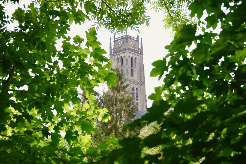 Toren Sint Maartenskerk te Zaltbommel