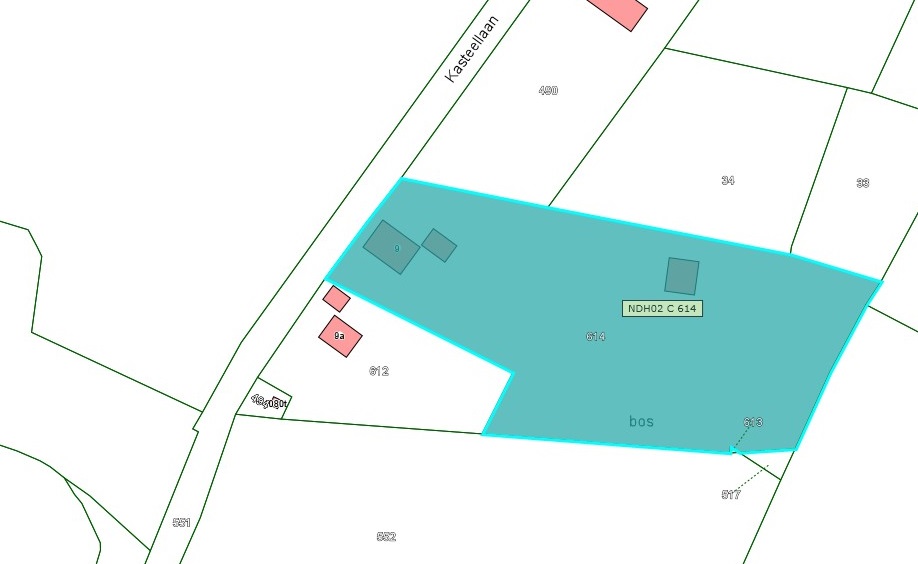 Kadastrale kaart van 2015 van perceel Kasteellaan 9 in Nederhemert