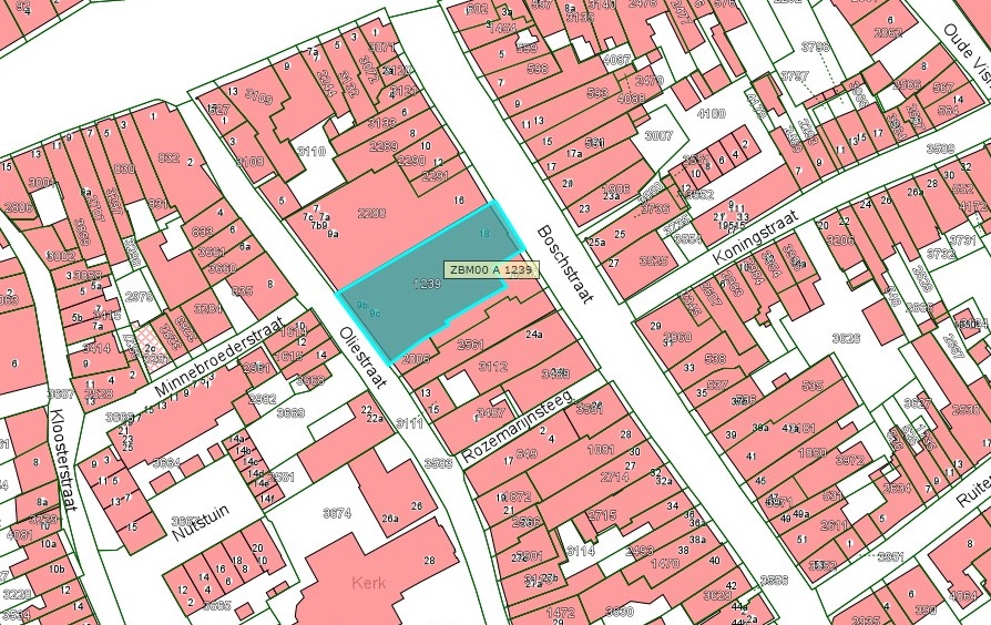 Kadastrale kaart van 2015 van ingetekende perceel aan  Boschstraat 18 in Zaltbommel