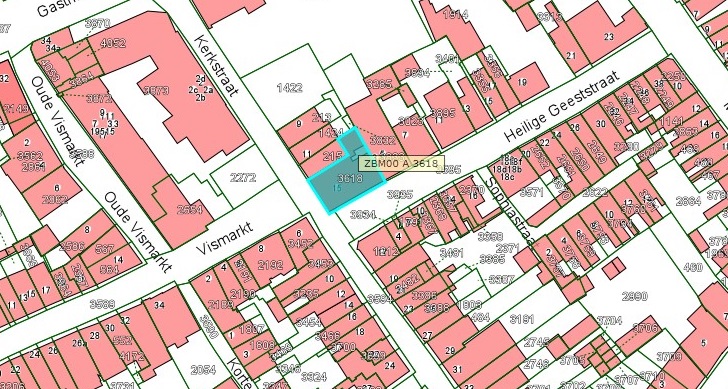 Kadastrale kaart van 2015 van ingetekende perceel aan de Kerkstraat 15 in Zaltbommel