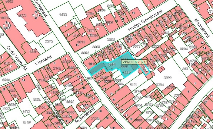 Kadastrale kaart van 2015 van ingetekende perceel aan de Kerkstraat 19 in Zaltbommel