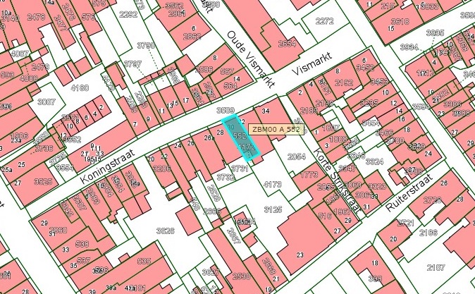 Kadastrale kaart van 2015 van ingetekende perceel aan de Koningstraat 30 in Zaltbommel