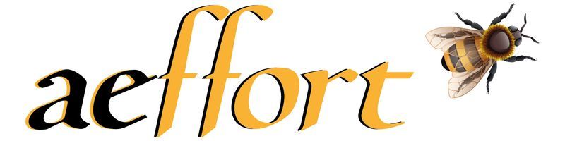 Eaffort logo