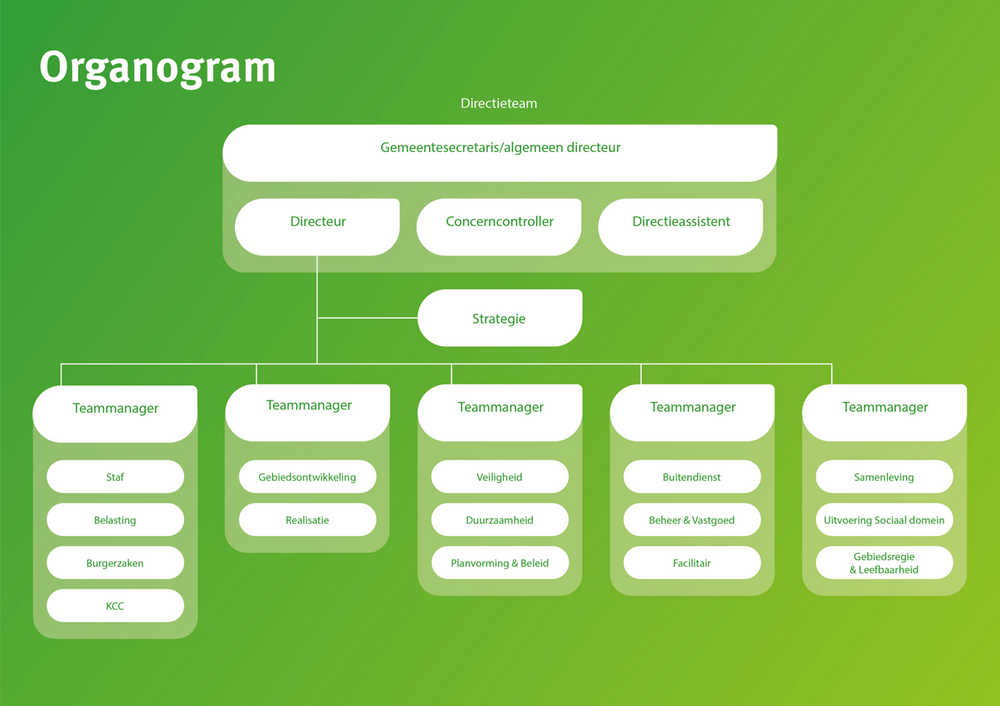 Organogram van organisatie gemeente Zaltbommel: zie in tekst